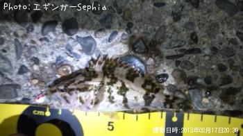 ¥¿¥±¥Î¥³¥á¥Ð¥ë