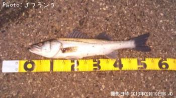 �����Х�