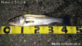 �����Х�