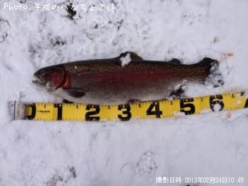 �쥤��ܡ��ȥ饦��