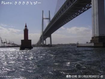 シーバス