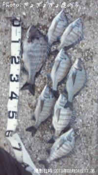 ����������������