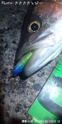 �����Х�