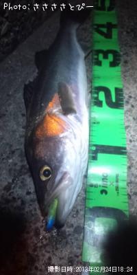 �����Х�