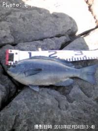 �����᥸��