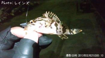 ��Х�������Υ�