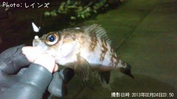 ��Х�������Υ�