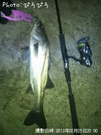 �����Х�