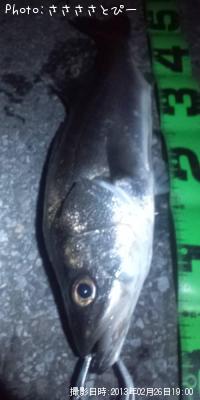 �����Х�