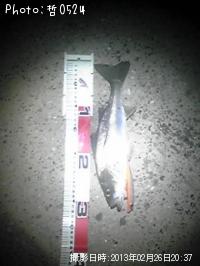 �����Х�