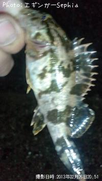 ¥¿¥±¥Î¥³¥á¥Ð¥ë