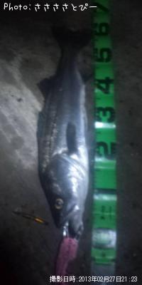 �����Х�