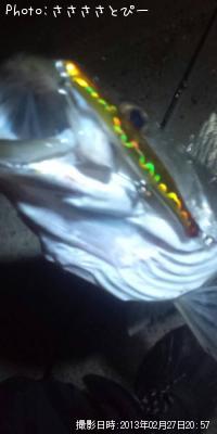 �����Х�