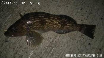 �����ʥ�