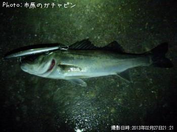 �����Х�