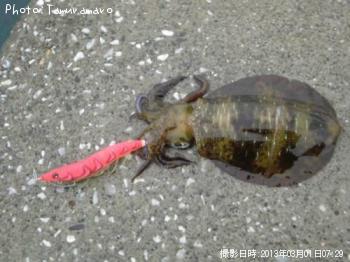 �����ꥤ��