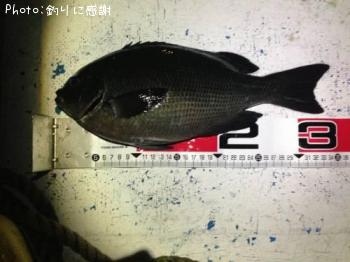 �����᥸��