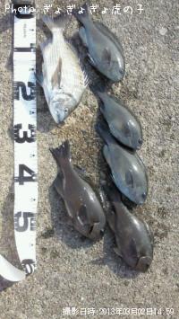 ���������᥸��