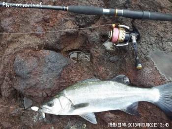 �ҥ饹����