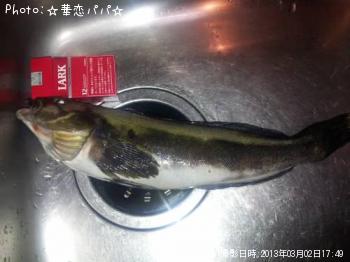 �����ʥ�