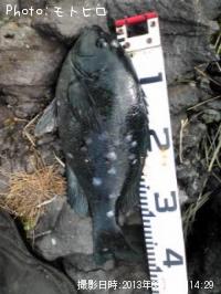 �����᥸��