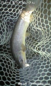 �֥饦��ȥ饦��