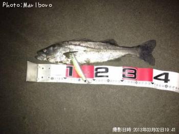 �����Х�