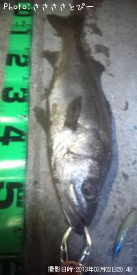 �����Х�