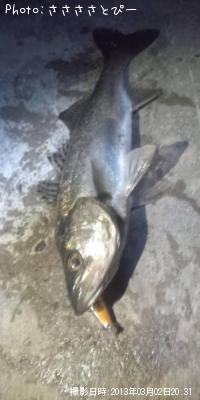 �����Х�