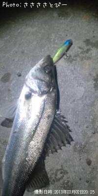 �����Х�