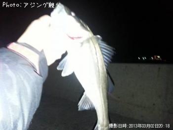 �����Х�