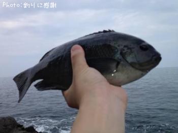 ¸ýÂÀ¥á¥¸¥Ê