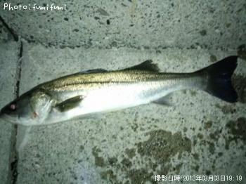 �����Х���