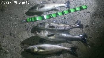 �����Х�