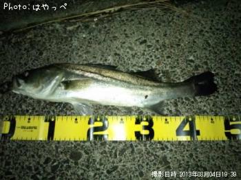 �����Х�