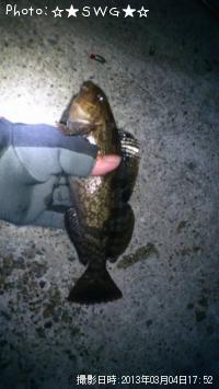 �����ʥ�