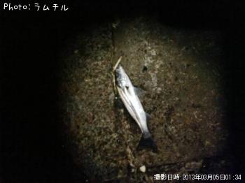 �����Х�