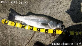 �ҥ饹����