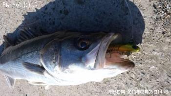 �����Х�