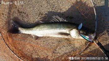 �����Х�