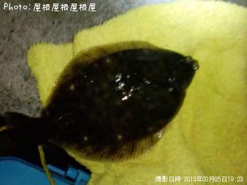 ¥Ê¥¤¥¿¡¼¥«¥ì¥¤¡Ê¾Ð¡Ë