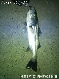 �����Х�