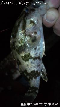 �����Υ���Х�