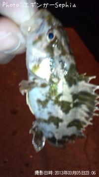 �����Υ���Х�