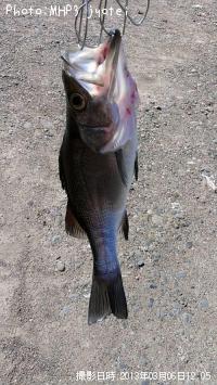 �ҥ饻����