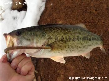 ¥Ö¥é¥Ã¥¯¥Ð¥¹