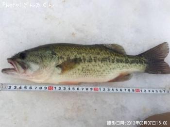 ¥Ö¥é¥Ã¥¯¥Ð¥¹