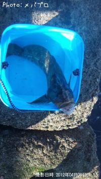 �����ʥ�