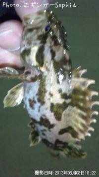 ¥¿¥±¥Î¥³¥á¥Ð¥ë