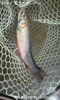 ¥¸¥ã¥¬¡¼¥È¥é¥¦¥È